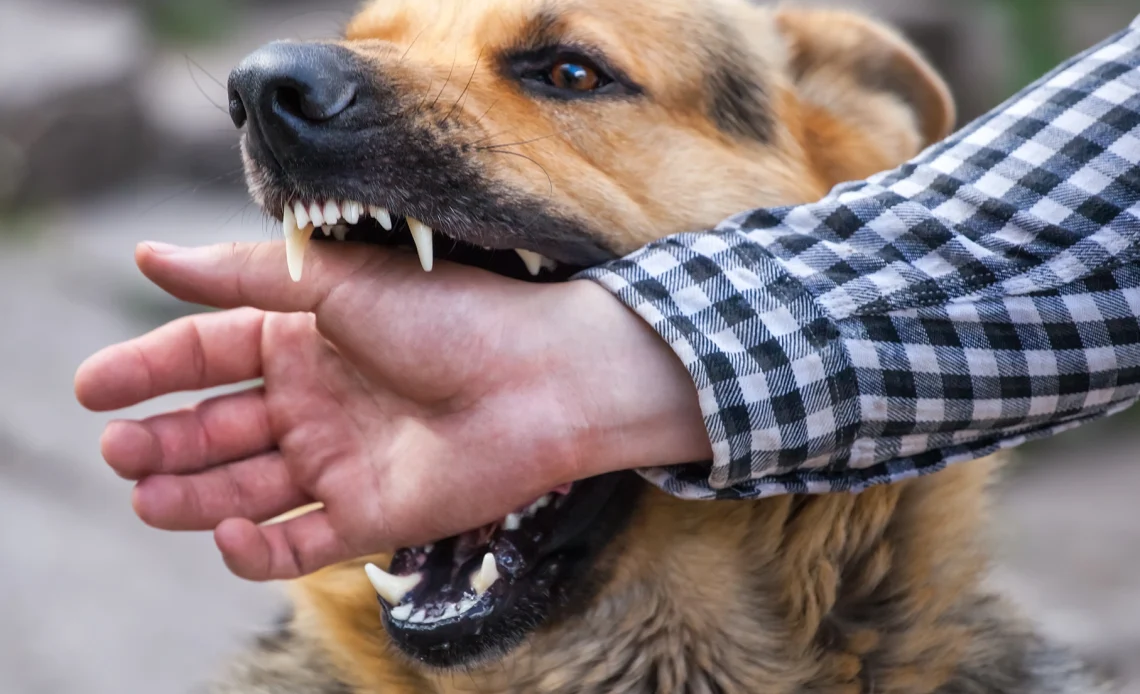 What to Know About Dog Bite Lawsuits in Wauwatosa